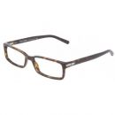 Dolce & Gabbana DG 3117 502 55/16