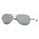 Ray Ban RB 8301 004/40 Ray Ban RB 8301