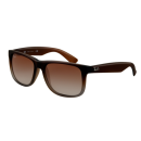 Ray Ban Sonnenbrille RB 4165 854/7Z Justin