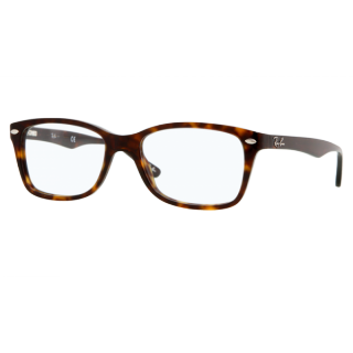 Ray Ban Brillen Fassung RB 5228 2012 50/17