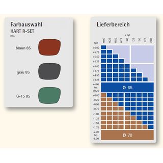 2 dnne Sonnenschutzglser Kunststoff Index 1,6 inklusive Hart-RSET-Clean